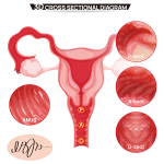 Телесный мастурбатор-полуторс с двумя любовными отверстиями Kokos Vanilla Onahole Real Vagina M01-003-13D