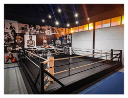 Ринг боксерский в СИЛОВОЙ раме TARGEX