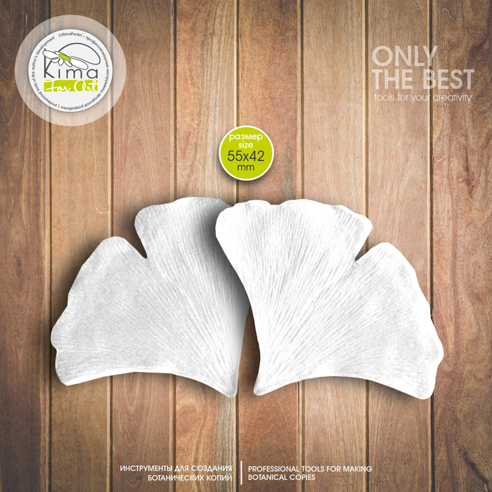 Гинкго лист средний