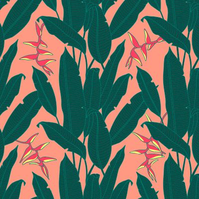 Экзотический цветок геликония. Тропический.