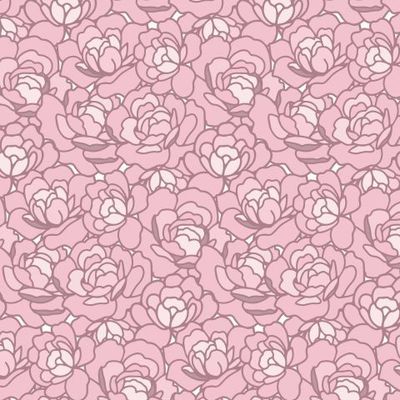 розовые нежные пионы