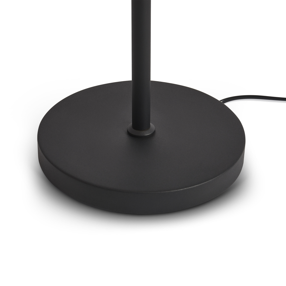 Напольный светильник (торшер) Freya FR5553FL-L20B