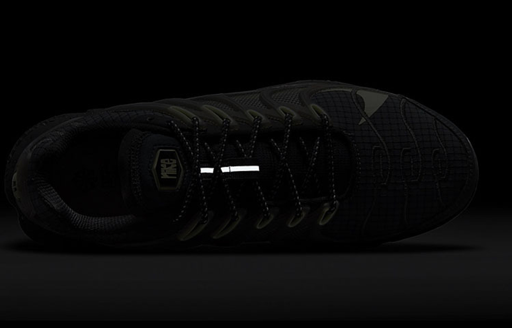 Кроссовки Nike Air Max Plus