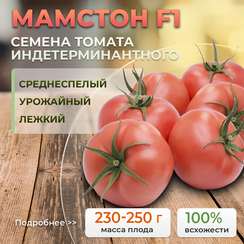 МАМСТОН F1 семена томата (Syngenta | Alexagro)