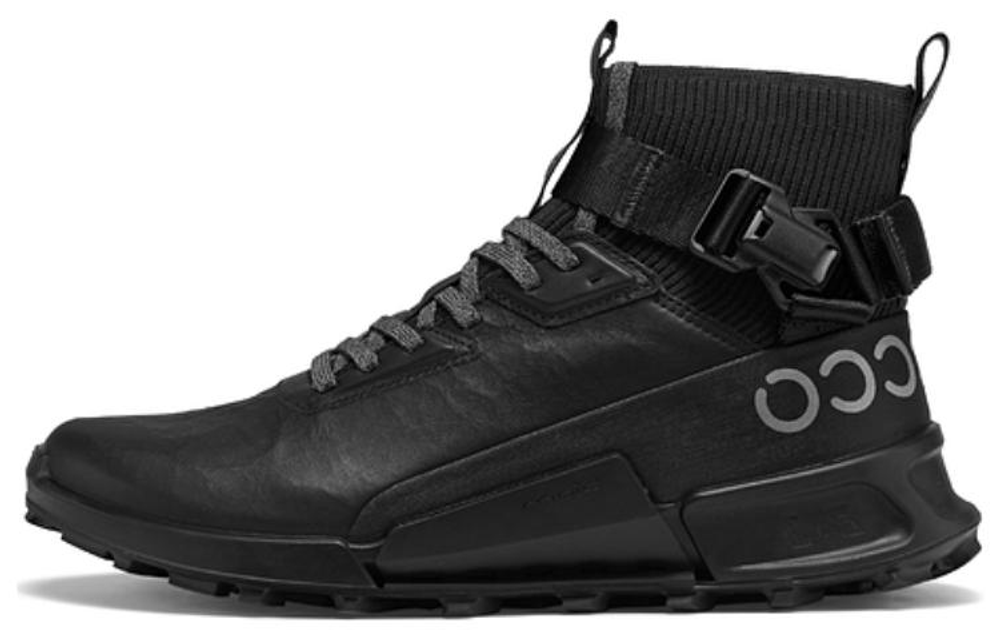 Ecco Biom2 1