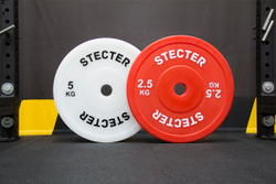 Технический диск для штанги 2,5 кг STECTER (D=450 мм, пластик)