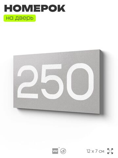 Номер на дверь 250, табличка на дверь для офиса, квартиры, кабинета, аудитории, склада, серая 120х70 мм, Айдентика Технолоджи