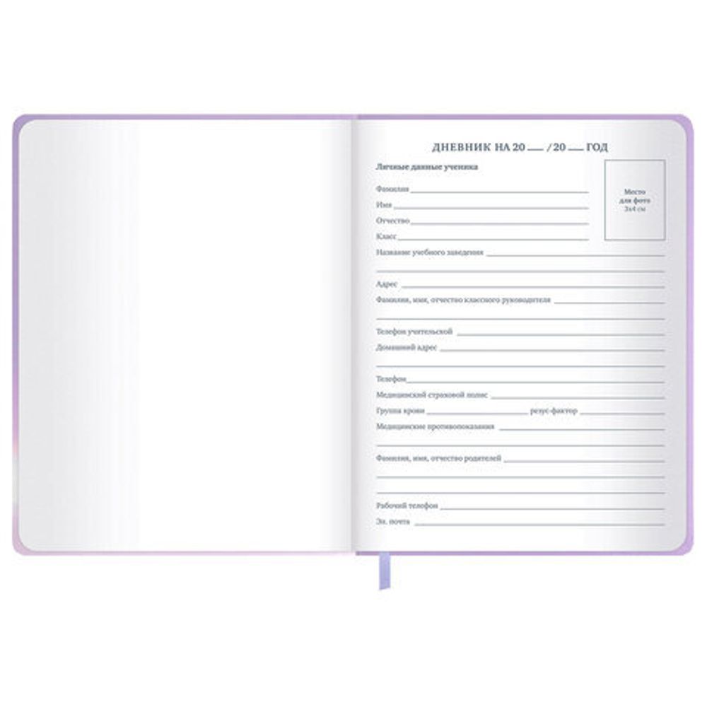 Дневник 1-11 класс 48 л., обложка кожзам (твердая с поролон), 3D-элемент, BRAUBERG, "Суровый кот", 107221