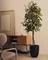 Ficus Искусственное дерево фикус в черном горшке 180 см