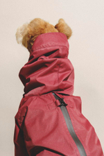 Комбинезон "Пони-комбинезони" винный