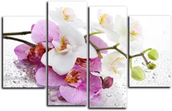 Модульная картина "Мокрая орхидея"