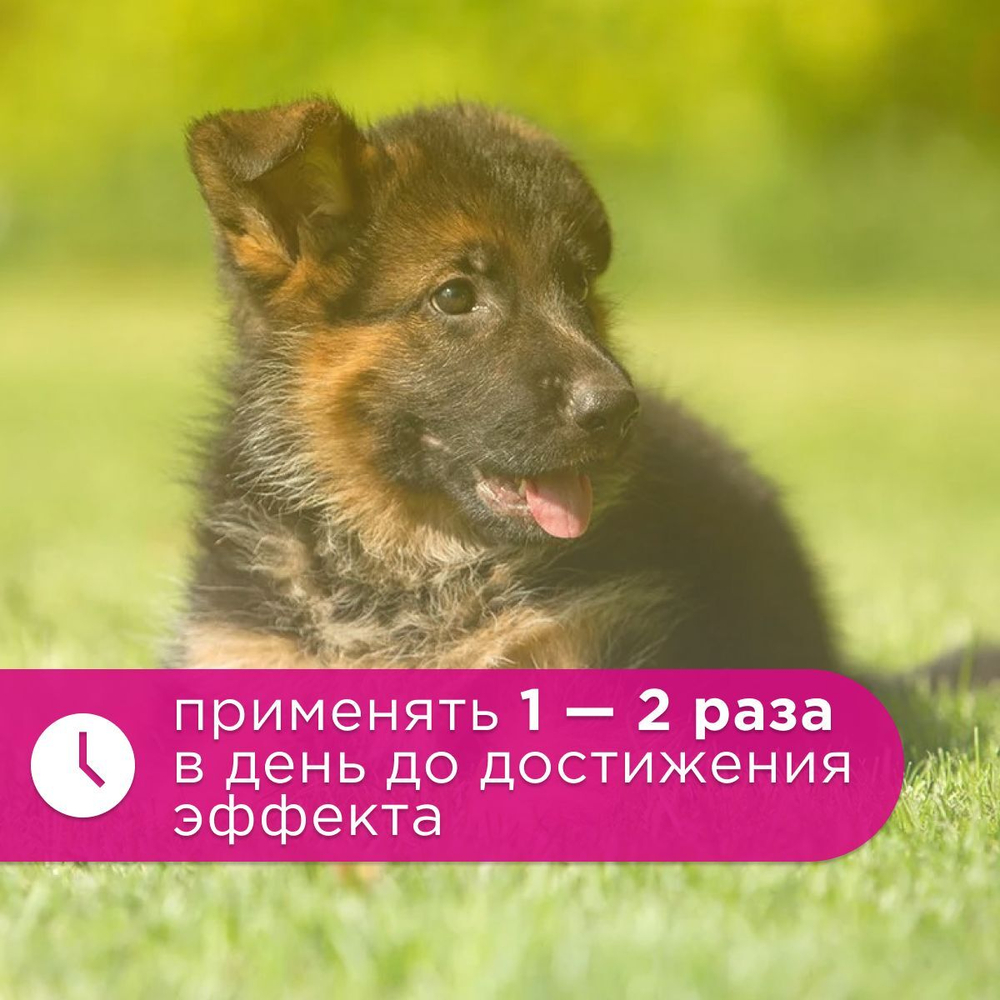 Спрей Brizberry ( Бризберри ) от Apicenna,Защита мест, не предназначенных для туалета собак, 250 мл