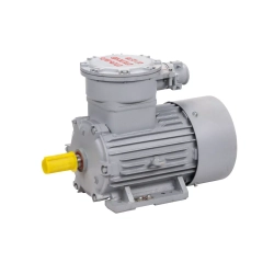 Электродвигатель АИМУР 200 L8 660/1140V, PBExdI Mb, класс изоляции Н, РТС (статор), подшип, SKF, 22/750 IM1001