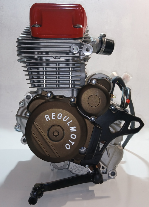 Двигатель ZS175-FMM 300см3 мотоцикл REGULMOTO SPORT 003 PRO