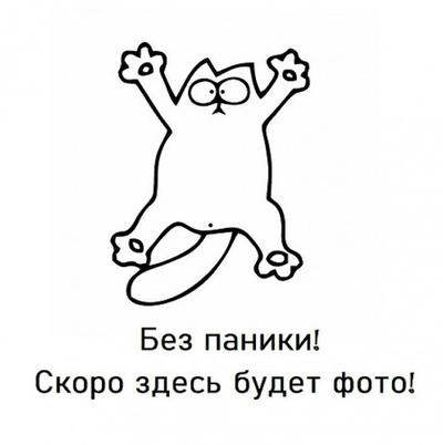 Дверь-купе ARISTO Н, зеркало, профиль шампань матовая