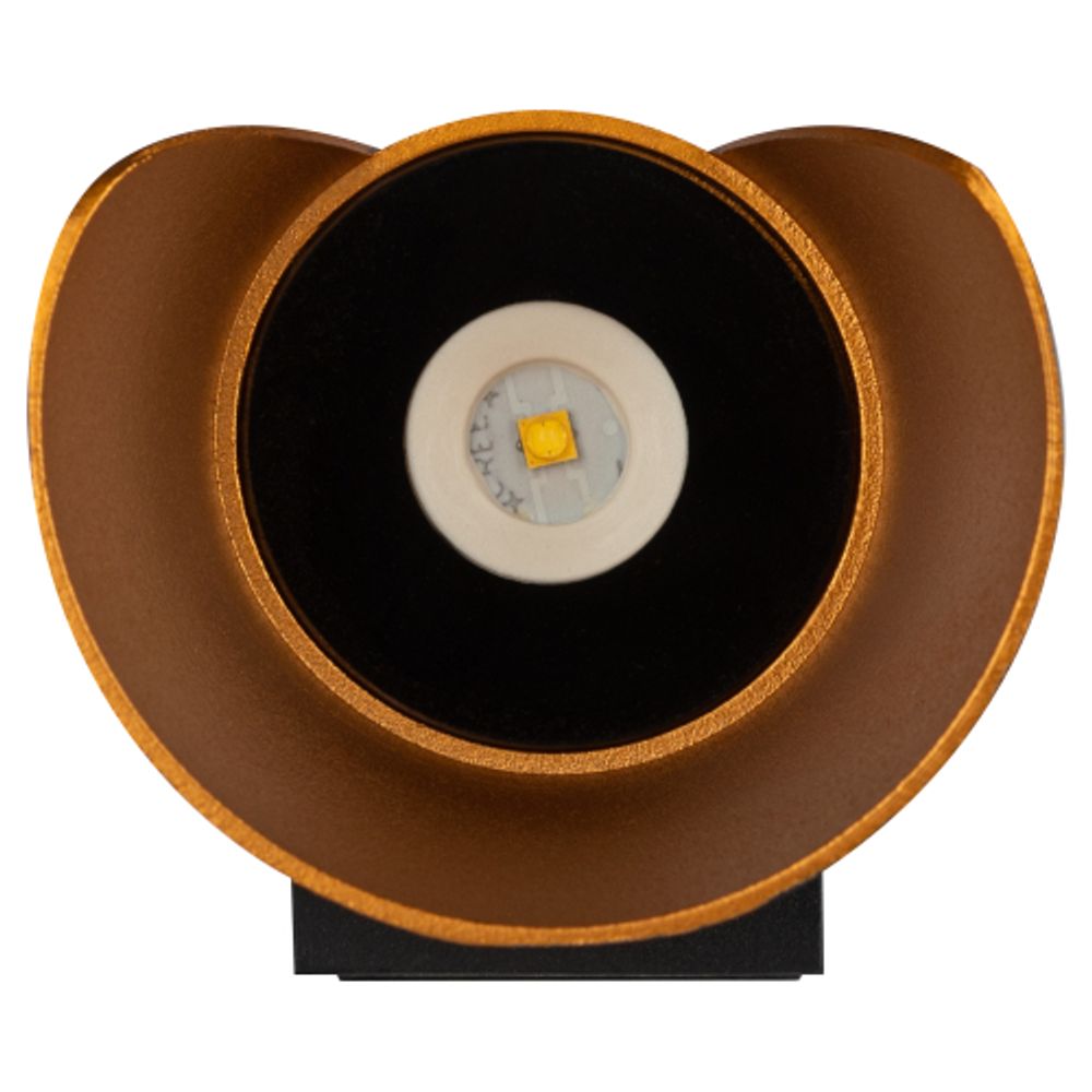 Декоративная подсветка ЭРА WL42 BK+GD светодиодная 10Вт 3500К черный/золото IP54 для интерьера, фасадов зданий | Фасадная декоративная подсветка