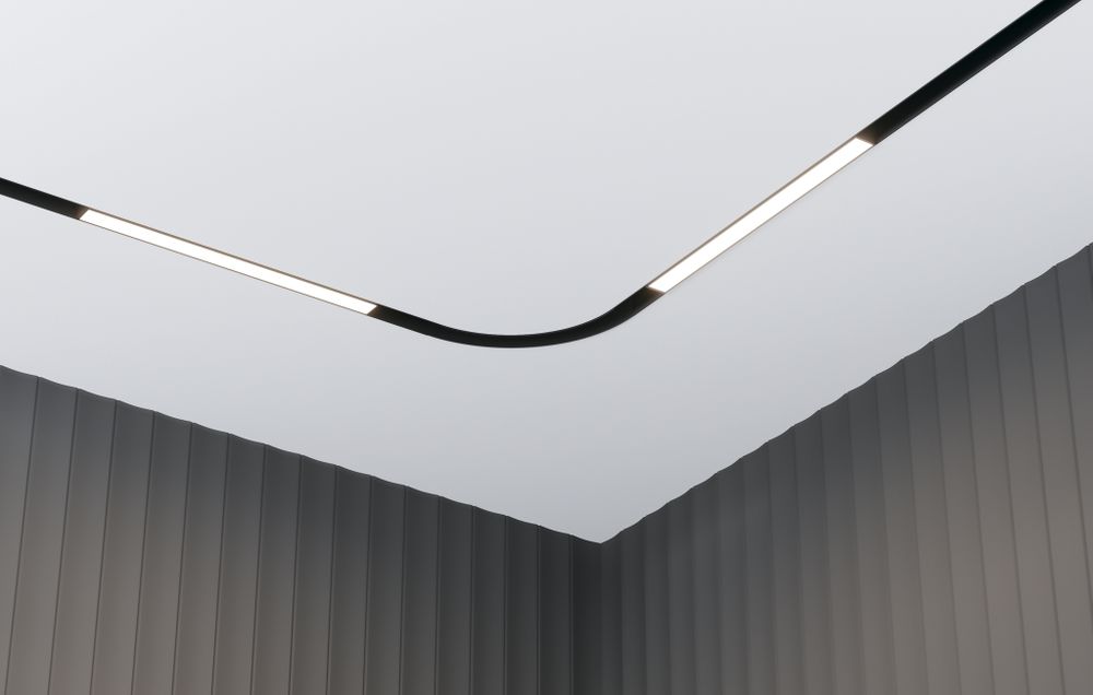 Трековый магнитный светодиодный светильник диммируемый Maytoni Exility BASIS TR030-4-12W3K-WW-DS-B