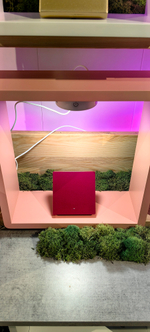 Декорированние выключателя (оклейка пленкой в цвет заказчика)