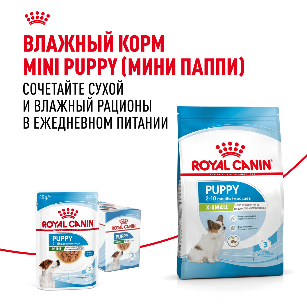 Royal Canin X-Small Puppy Икс-Смол Паппи Корм сухой для щенков миниатюрных пород в возрасте до 10 месяцев 500г