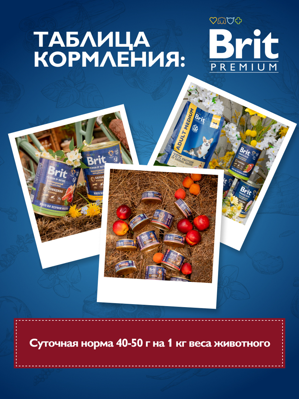 Консервы BRIT PREMIUM BY NATURE dog мясное ассорти с потрошками для собак всех пород 6х410г