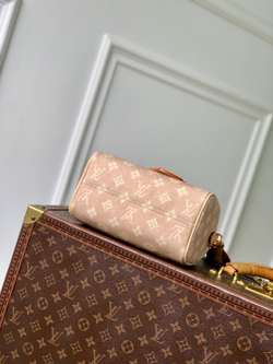 Louis Vuitton Speedy Bandouliere 20