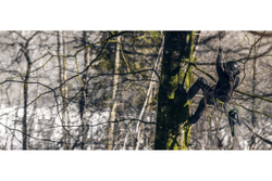 Пила цепная аккумуляторная GREENWORKS GD40TCS 40 V без акк и з/у   2003807