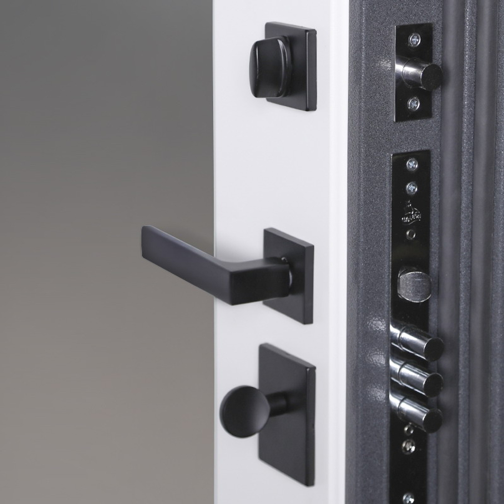 Стальная дверь  "Беркут" с зеркалом