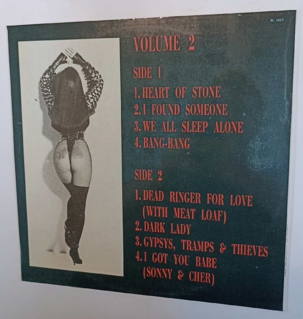 Винтажная виниловая пластинка Cher Chers Greatest Hits 1965-1992. Volume 2 (Russia 1993)