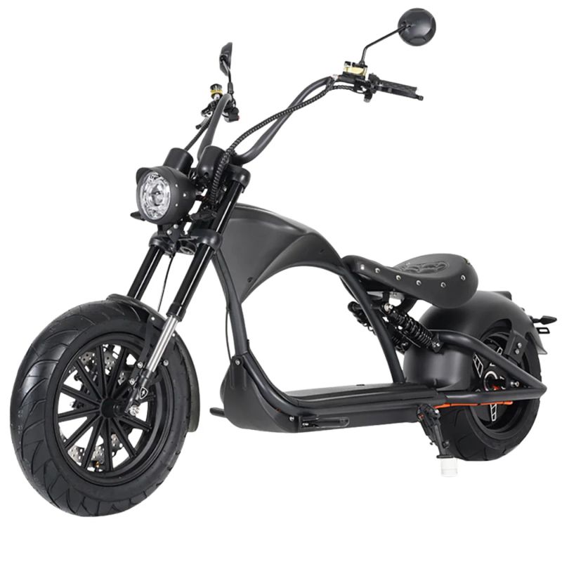 Mangosteen M1P 60V2000W30A