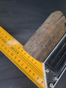 Бивень мамонта для коллекции