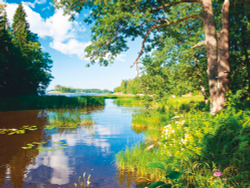 Коллекция Пейзаж