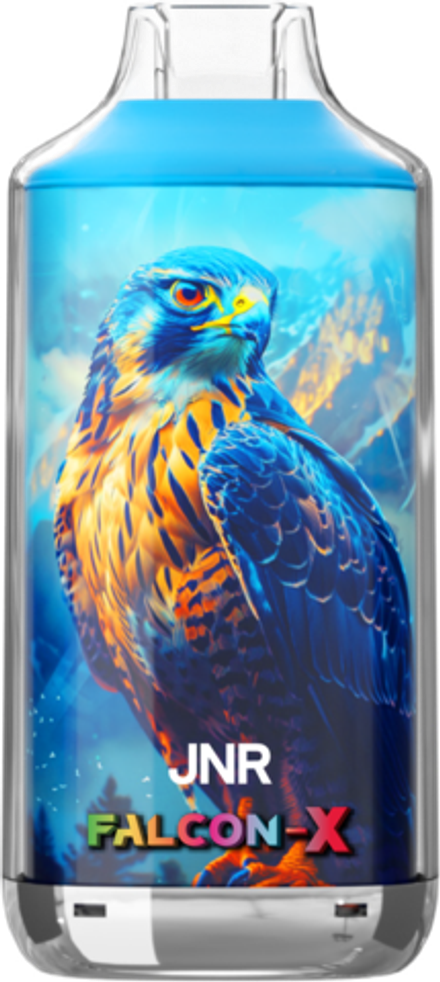 JNR Falcon X Черника-гранат-лёд 26000 затяжек 20мг (2%)