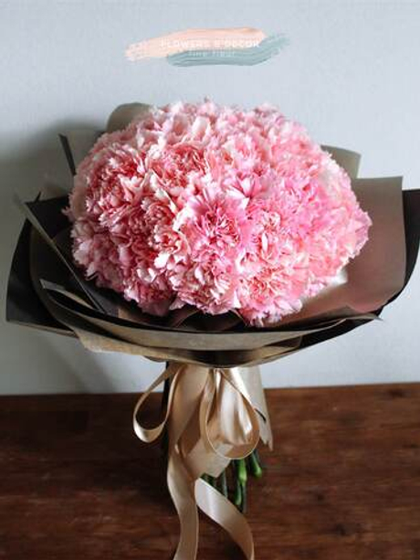 Удивительные гвоздики