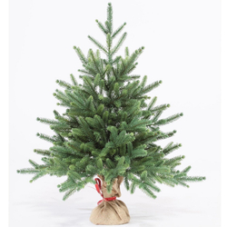 Ель искусственная Инфинити 60 см
