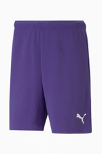 Шорты Puma teamRISE