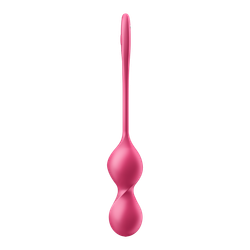 Love Birds 2 Connect App