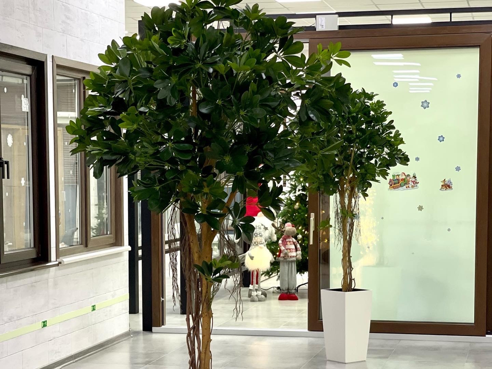 22.01. Озеленение офисного пространства ботаническими копиями растений