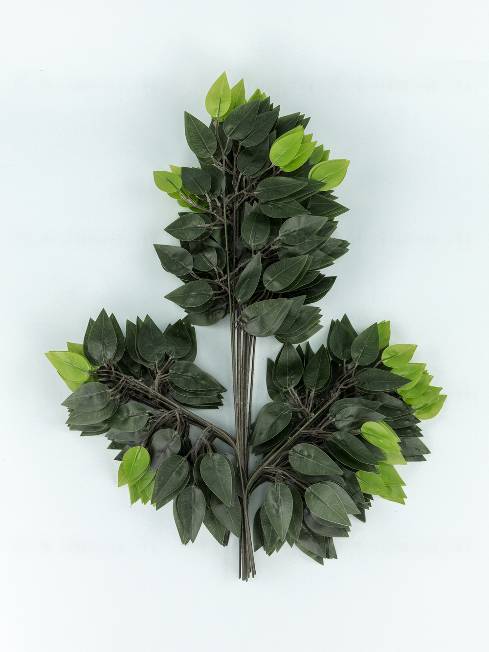 Ветка дерева фикус зеленая (связка 12шт)