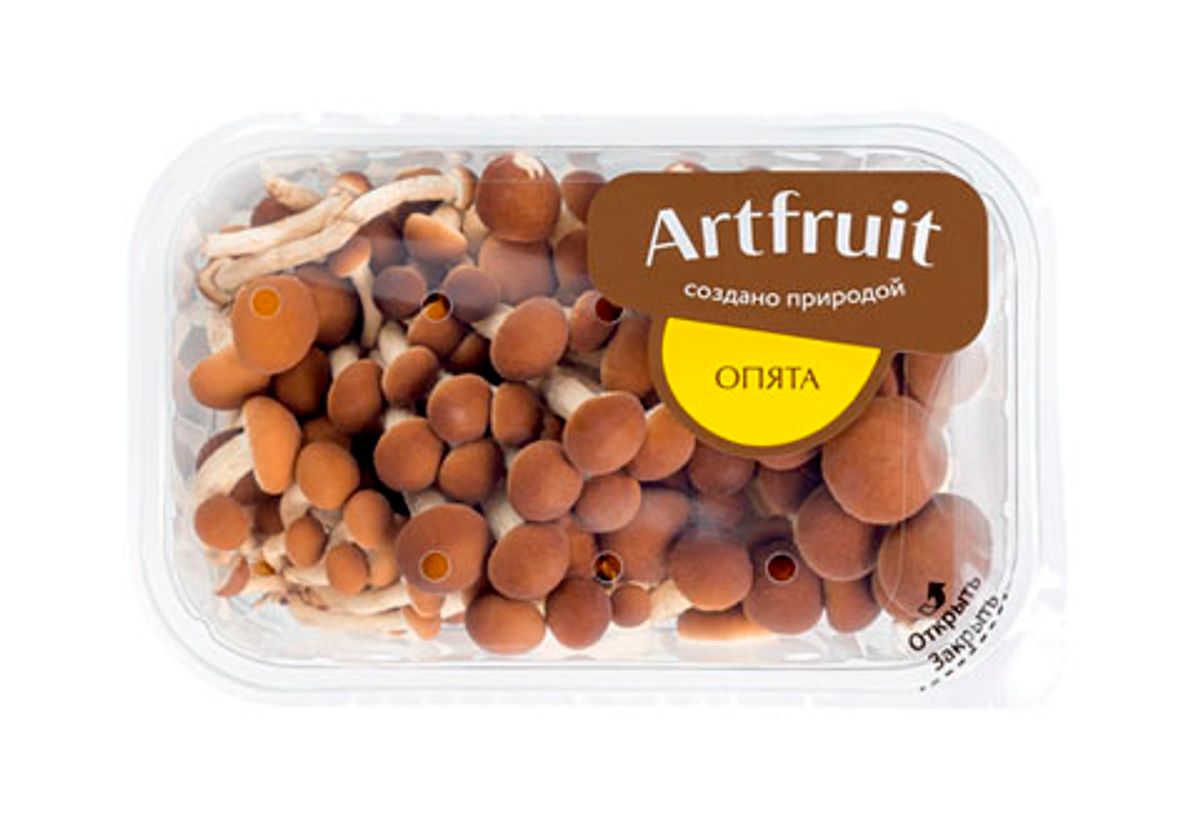 Грибы опята, 300г