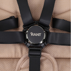 Детская коляска Rant Flex Pro 2 в 1 Begie 2023