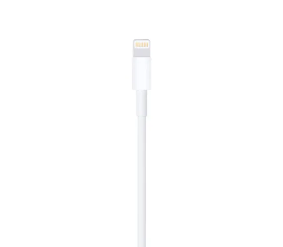 Зарядный кабель Apple USB - Lightning 1m Original