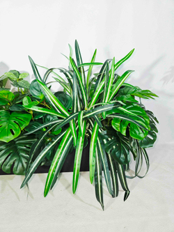 Композиция из искусственных растений Зеленый офис