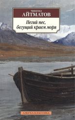 Пегий пес, бегущий краем моря