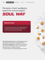 Креатин моногидрат порошок со вкусом маракуйи 300 г / Soul Way / 60 порций