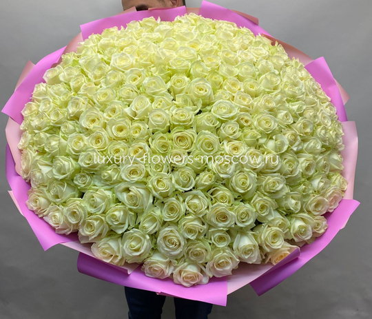 201 белая роза рф в розовой упаковке 4