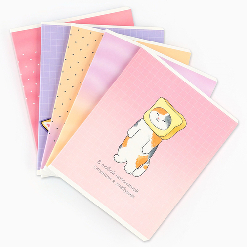 Тетрадь в клетку «Забавный котик» А5, 48 л.