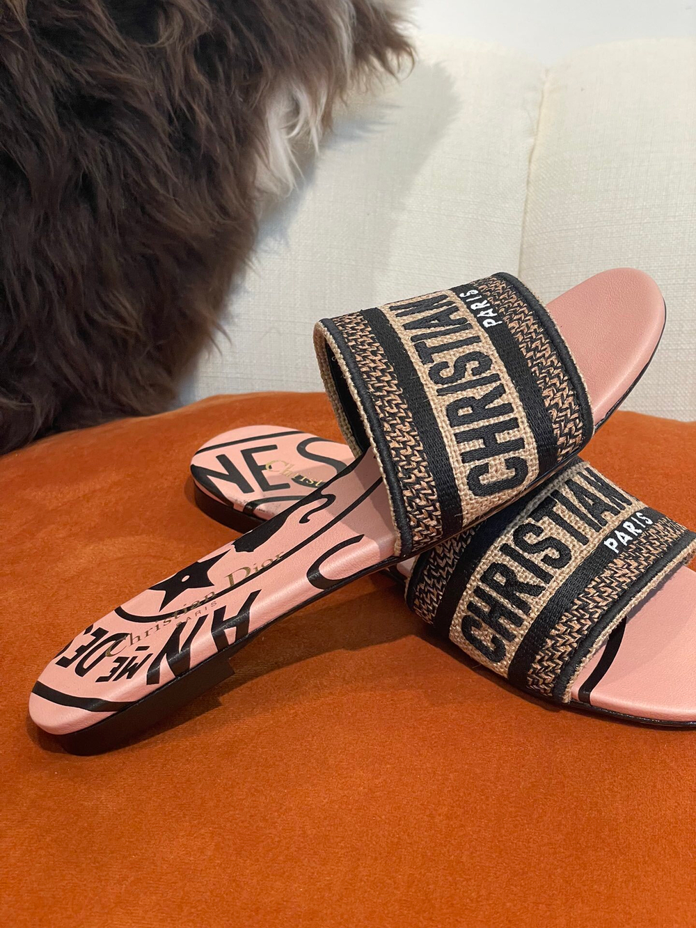 Christian Dior Dway Slide