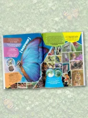 Большая энциклопедия о насекомых. 500 фотографий и фактов