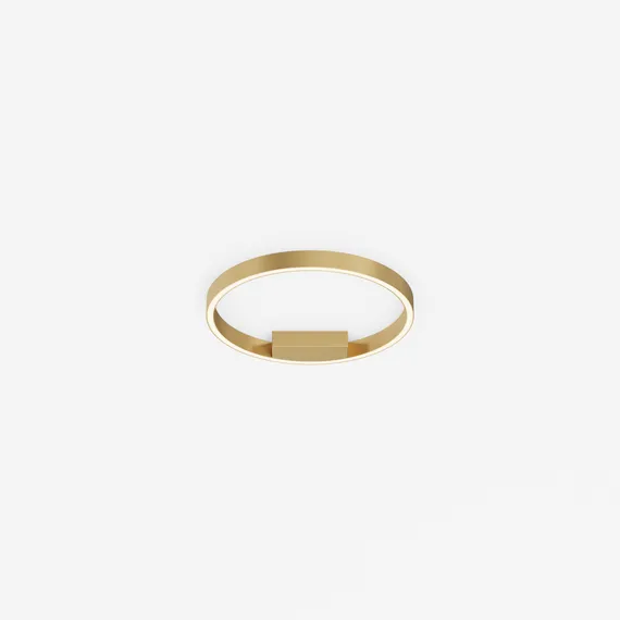 Потолочный светильник Рим / Rim 2600-3500К 24Вт Maytoni mod058cl-l25bsk