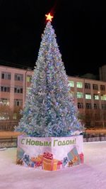 Уличная елка ствольная "Альпийская изумрудная" (пвх бело-зелёная) от 3 до 22 м